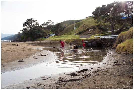 Kids building a dam