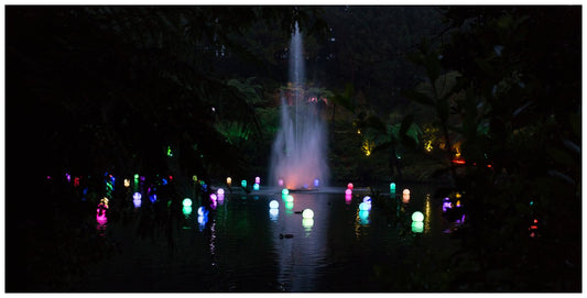 New Plymouth Festival of Lights