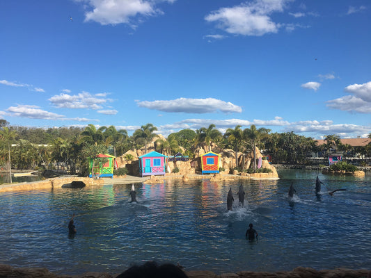 A kiwi's guide to which theme park to choose in the Gold Coast?