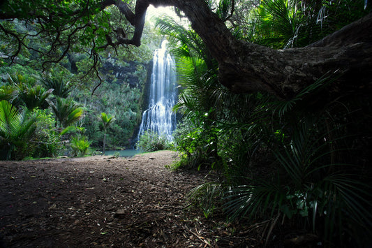 Karekare falls