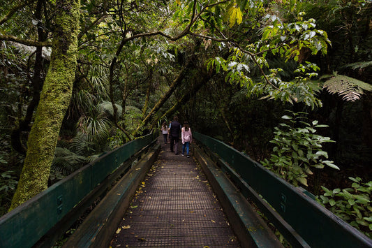 Tane Mahuta