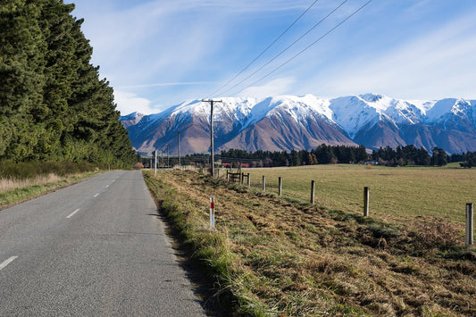 The dubious origins of the Methven trout