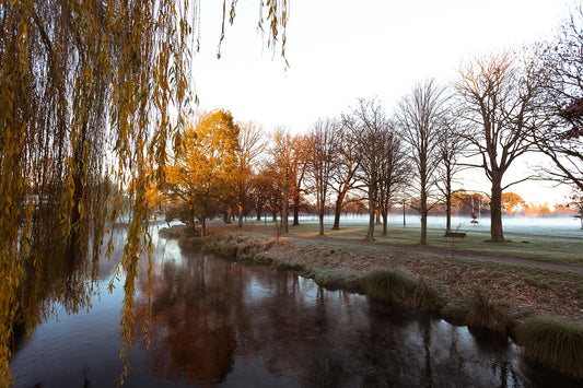 Avon River, Hagley Park