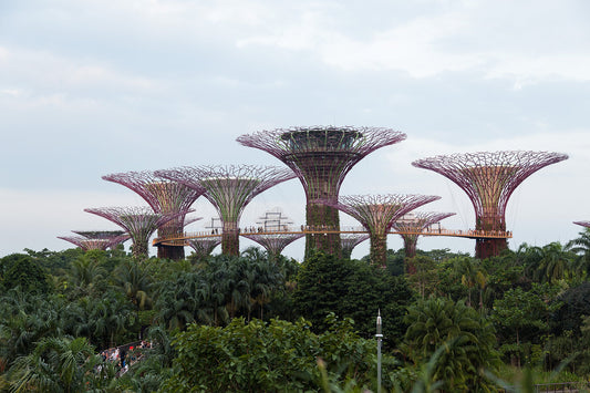 Gardens by the Bay Singapore