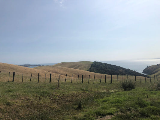 nd settled in for a while to have a picnic lunch up the top and take in those amazing views.