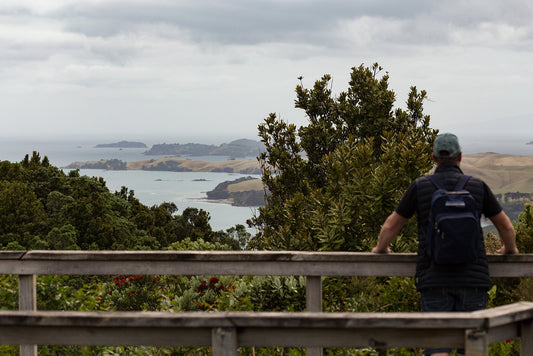 Rangitoto Island