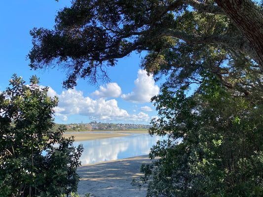 Orewa Te Ara Tahuna Estuary