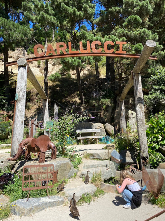 Carlucci Land