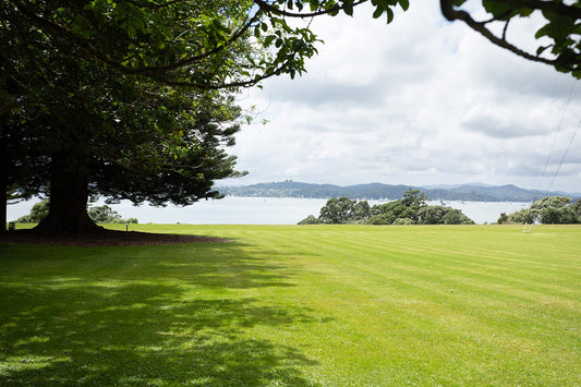 Waitangi Treaty Grounds