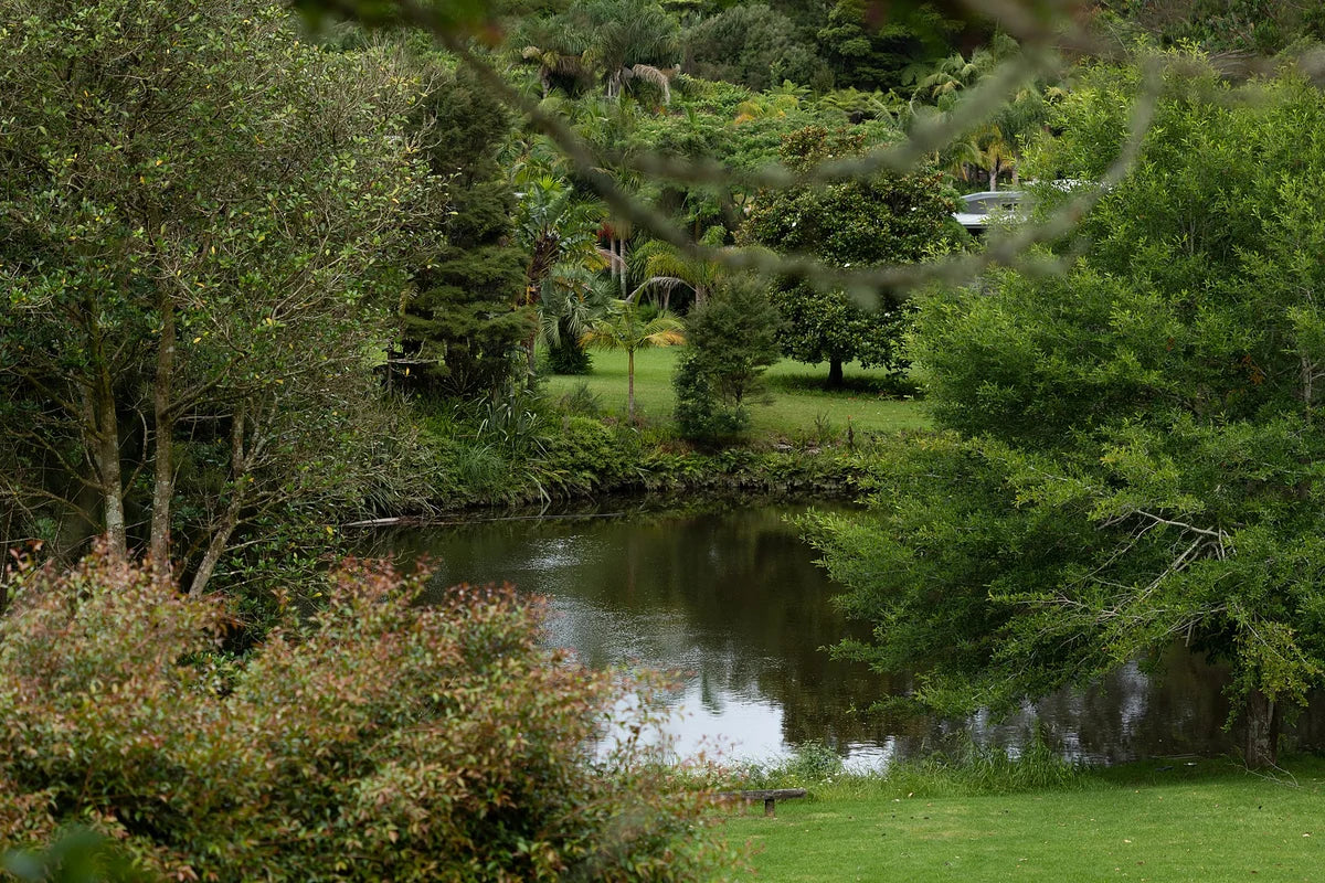 Mike and Nicky’s place in Kerikeri