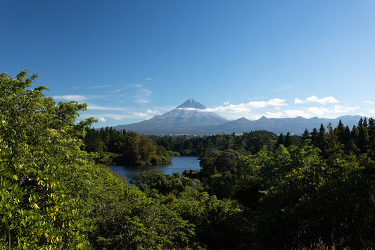 Playing the Road Trip Edition in New Plymouth