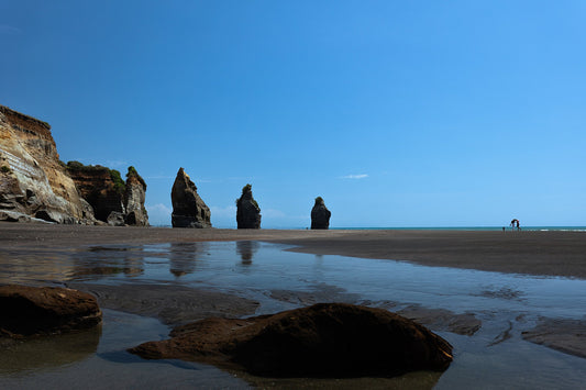 Three Sisters and the Elephant