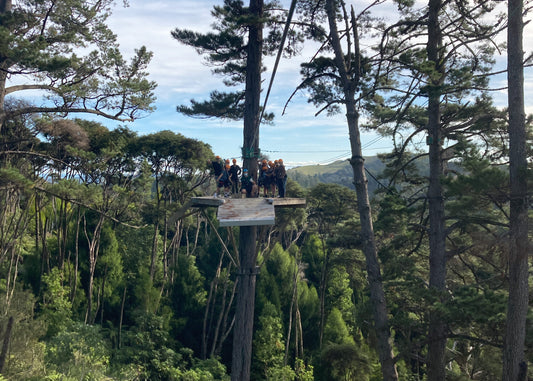 Leaping, spinning, swinging, flying at Coromandel Zipline Tours