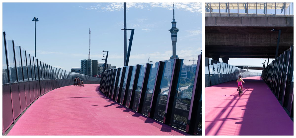Auckland's new pink cycle lane
