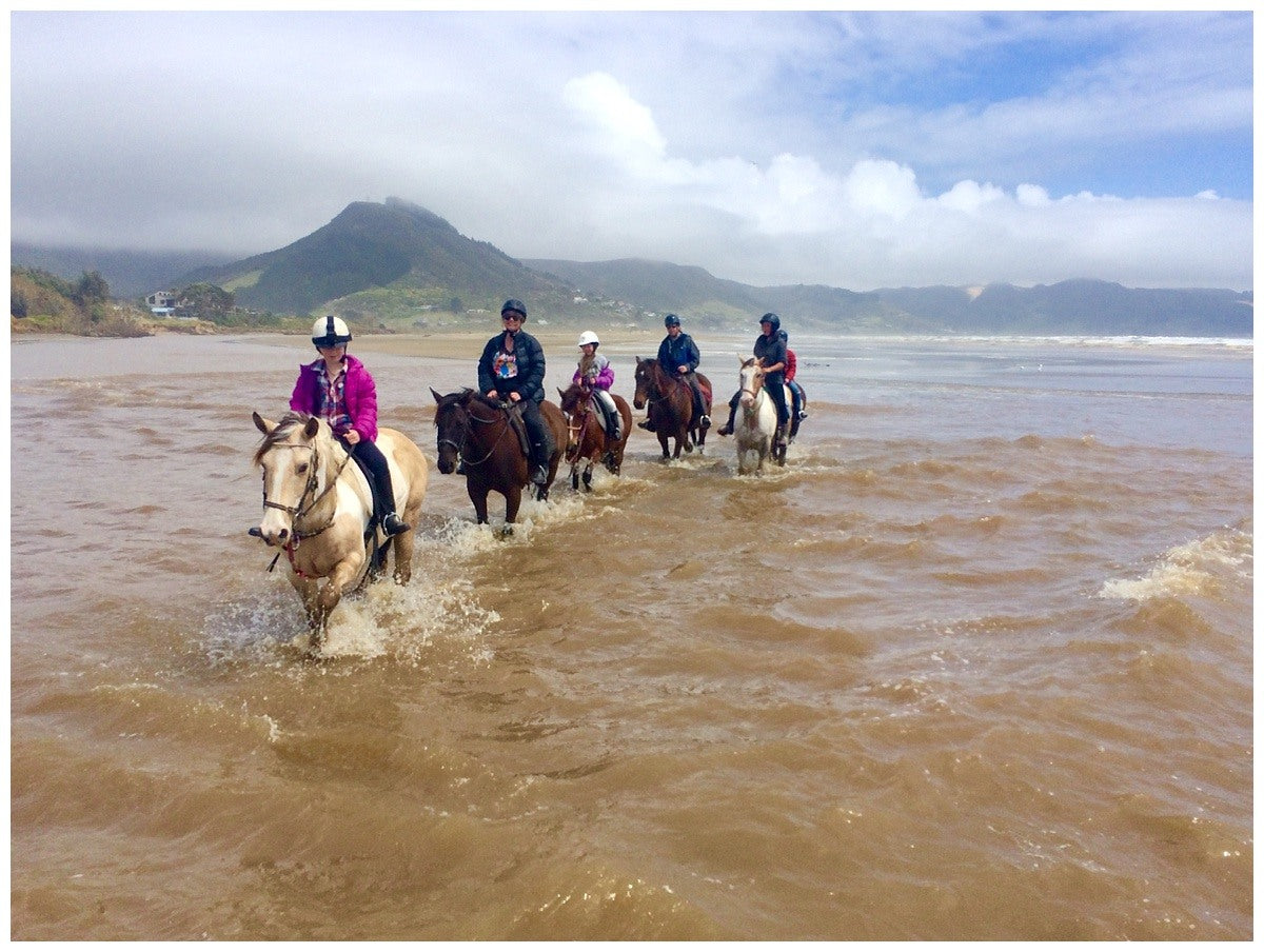 Ahipara Horse Treks – the best way to see 90 Mile Beach 