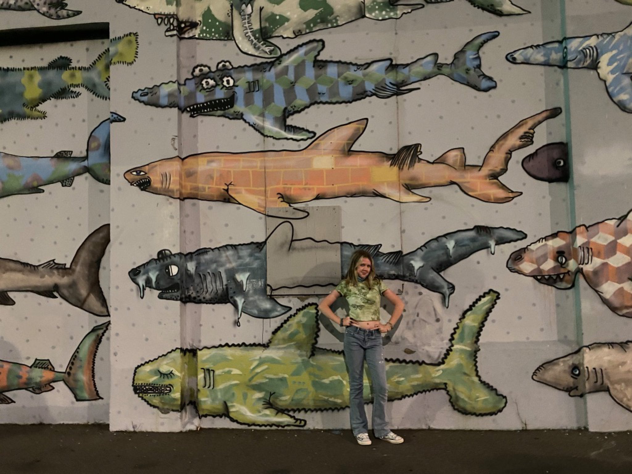 Shark mural Wellington