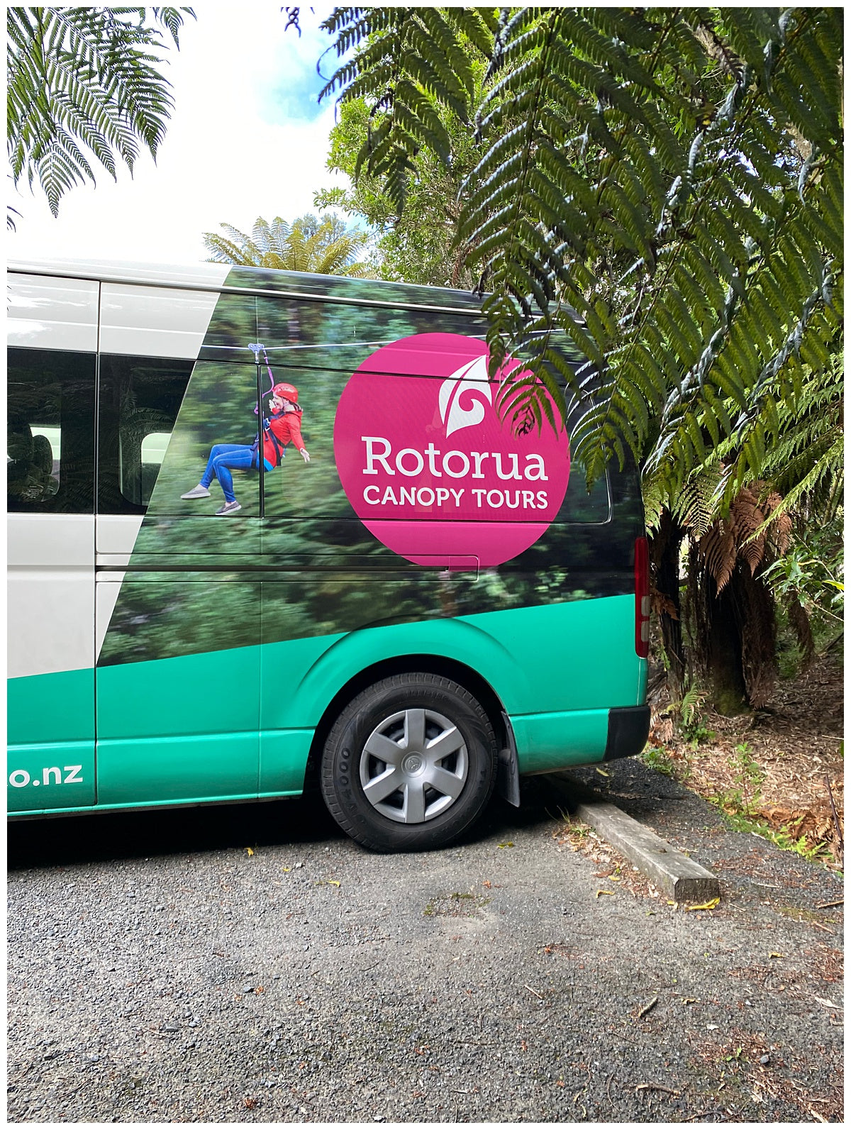 Rotorua Canopy Tour
